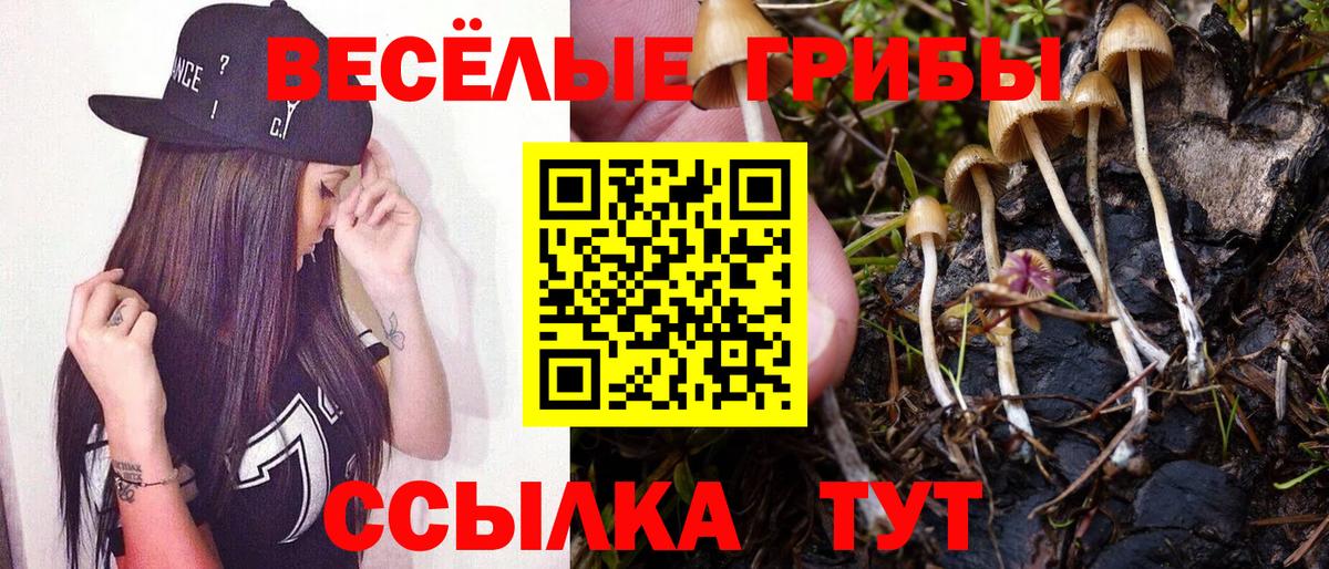Псилоцибиновые грибы мицелий  Вход с VPN  Санкт-Петербург 