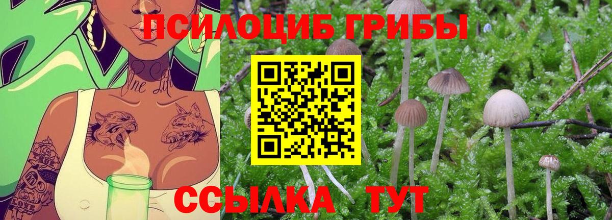 Галлюциногенные грибы Cubensis Санкт-Петербург